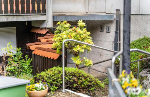 Ribeiro Cachoeira - Foto 25