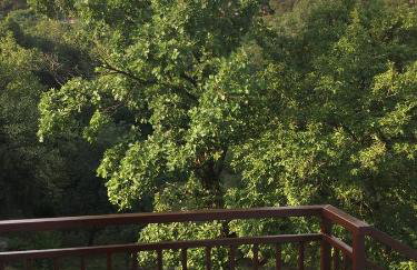 Apartment Filipović - Foto 21