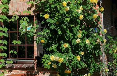 Reetgedecktes Ferienhaus am Strandweg in Lütjensee - Foto 14