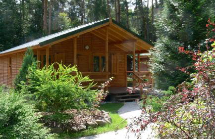 Ośrodek Wypoczynkowy "Puszczyk" Wolnostojące Domki z Bali - Foto 21