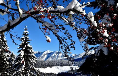 Ca' del Pettirosso - Foto 49