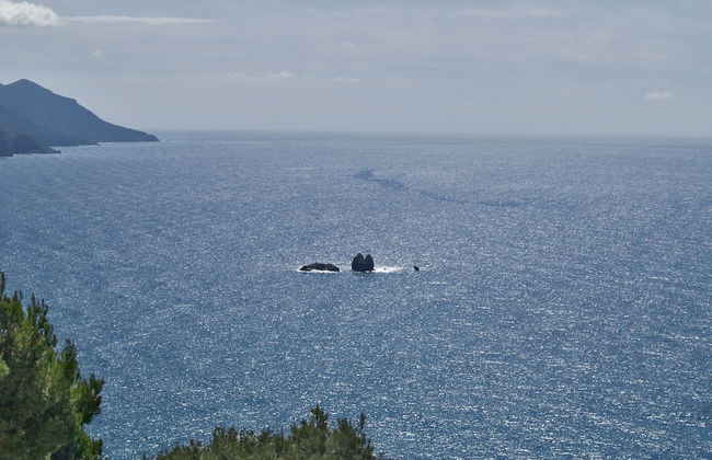 Studio Apartments With Large Swimming Pool and Sea View at Pelekas Beach, Corfu - Photo 12