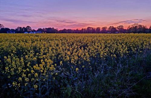 Ferienhaus Diana mit Sauna und Whirlpool Polnische Ostsee - Photo 58