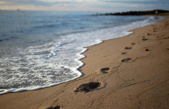 Ferienwohnungen im Seepark Sellin - Foto 38