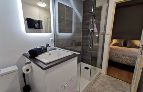 Les appartements du centre, refaits à neuf, climatisés, hyper centre, 50m à pieds des commerces, restaurants, parking gratuit - Foto 21