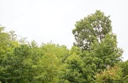 Tiny House Strouds Run Lake - Foto 30