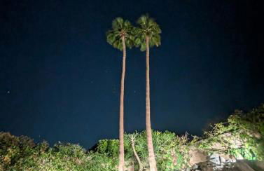 Indian Wells Saltwater Pool Home Walk 2 Tennis & Festival Shuttles - Foto 24