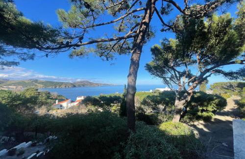 Maison paisible entre mer et montagne à Banyuls-sur-Mer - FR-1-309-515 - Foto 19