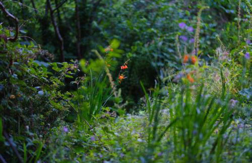 Tig Cottage - a rural, quirky, pet friendly 2 bedroom cottage near Ballantrae - Foto 47