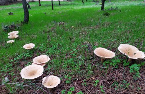 Apartamento El Castillo - Foto 64