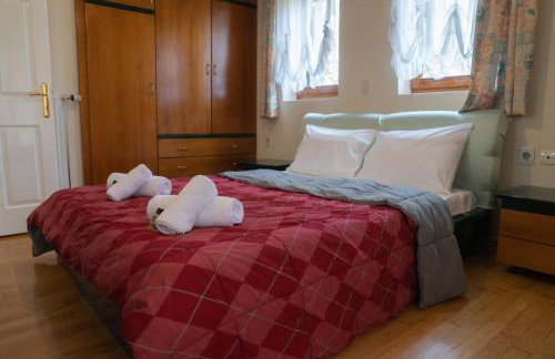 Nikola's Garden - Foto 15