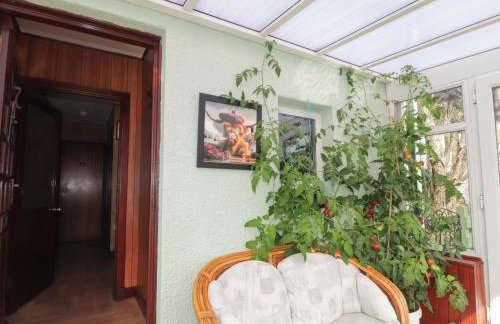 The Highlander - Foto 8