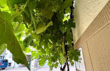 Ferienhaus Zur Gasse - Foto 67