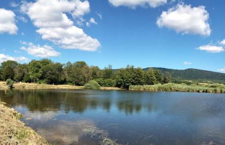 Les Coquelicots - Foto 11