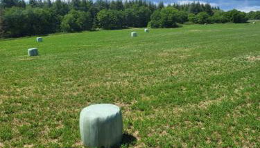 A la campagne - Foto 4