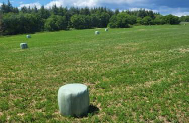 A la campagne - Foto 4