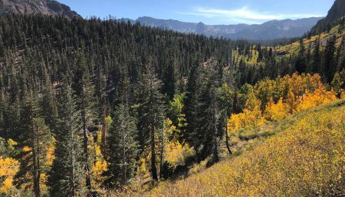 Mountainback 60 Corner Unit - Foto 5, Other