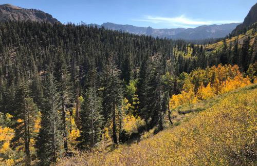 Mountainback 60 Corner Unit - Foto 5