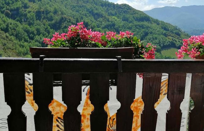 Agriturismo Arcera - Foto 39