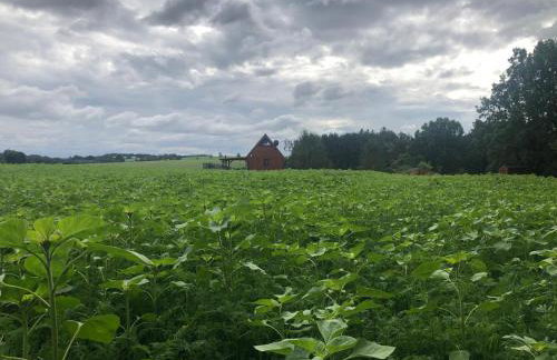 Oaza Spokoju - Foto 18