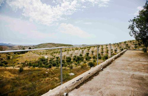 Caserío Lo Bulle - Foto 22