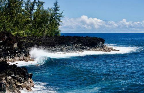 Comfort Nest - Foto 46