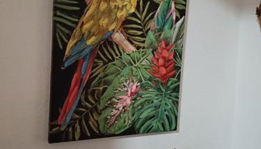 Rena MajoreHome, with parking - Foto 3