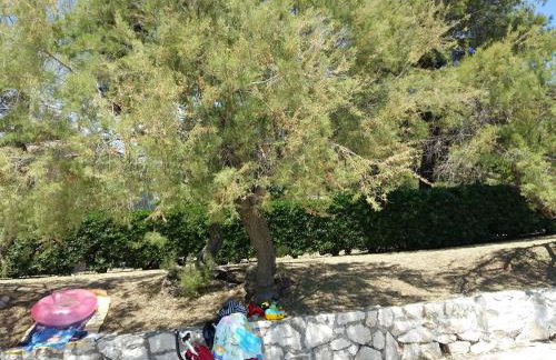 Apartment Pletikosic - Foto 6