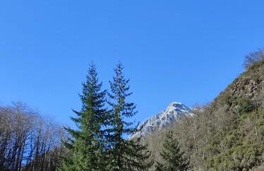 Casa Vacanze IL BOSCACCIO "Casa Serena" - Foto 7