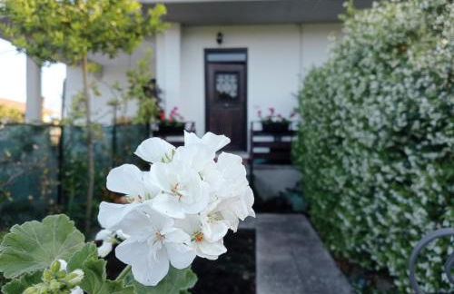 Spot on Civita - Foto 29