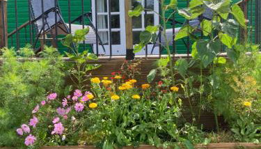 Shepherds Hut (Benny's) - Foto 2