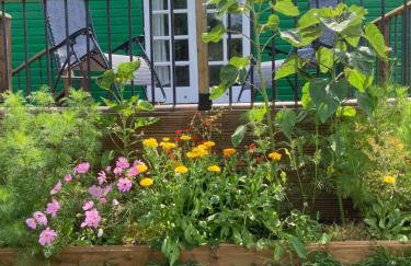 Shepherds Hut (Benny's) - Photo 2