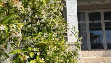 Seremetis Apartments Arillas - Foto 3