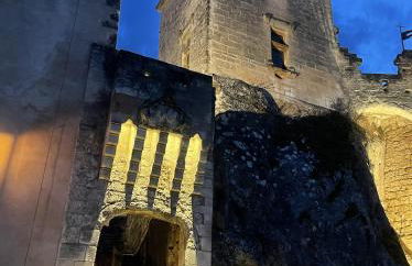 LES ROCHES - Photo 22