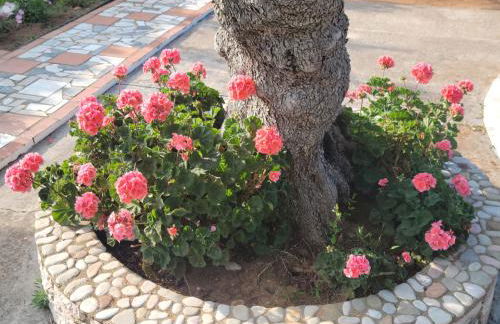 John & Jenny's Small Village - Foto 42