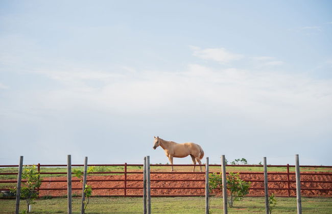 Peaceful Luxurious Ranch Family Reunion - Photo 61