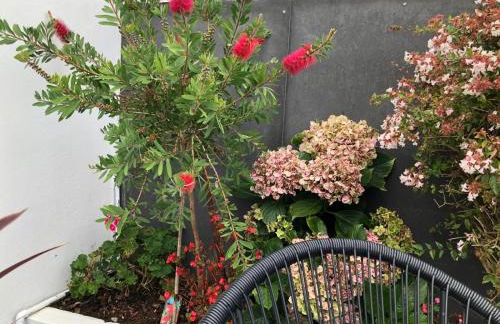 Grandparents' House - Photo 38