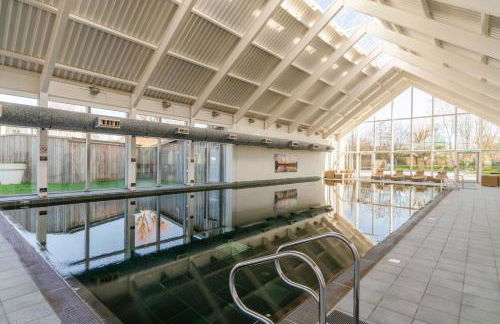 Firecrest - Photo 22