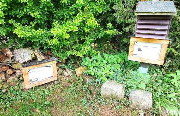 Talblick 1 - Ihr Ferienhaus mitten im idyllischen Tal - Foto 22