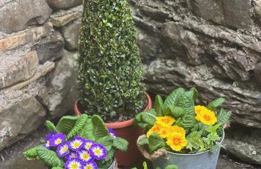 Wuthering Heights - Foto 22