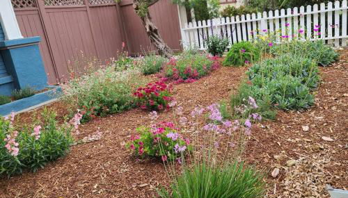 Entire home in Historic Long Beach close to shops - Foto 5