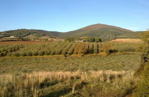 Ghiaccio Bosco - Foto 71