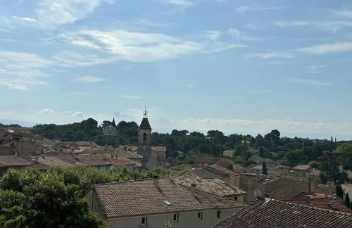 Domaine RABOLY - Beaumes de Venise - Foto 30