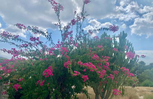 Rooftop with beautiful sea view - Foto 22