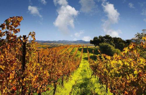 Sonoma Coast River Retreat for 6 Whole House - Foto 20