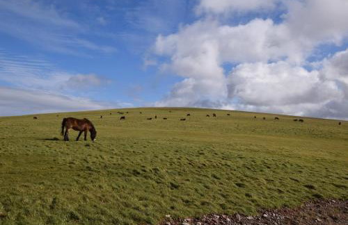 1 Bed in Dulverton oc-lbard - Foto 22