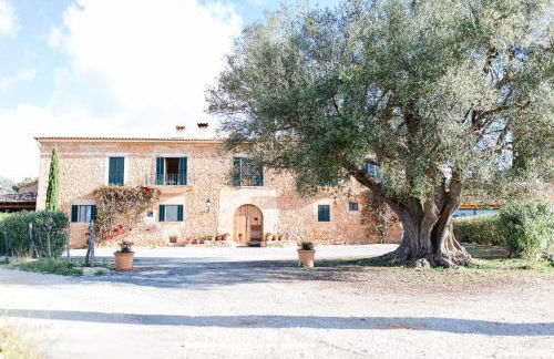 Finca Es Cabas - Foto 41