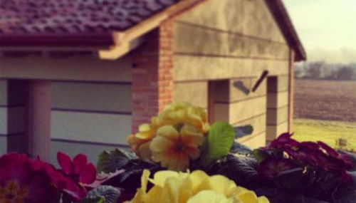 Agriturismo Bassanine - Photo 2