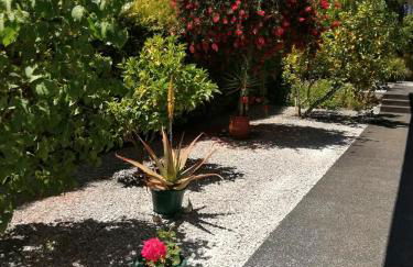 Single House - Foto 9