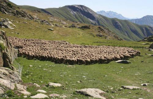 Le Cottage des Sybelles - Photo 19